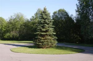 7904 Parsonage Rd, Saranac, MI 48881 photo 3