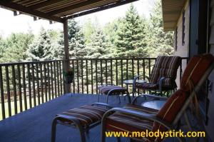 24 2nd St, Plainwell, MI 49080 photo 12