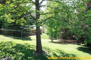 24 2nd St, Plainwell, MI 49080 photo 24