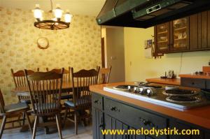 24 2nd St, Plainwell, MI 49080 photo 10