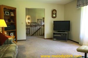24 2nd St, Plainwell, MI 49080 photo 18