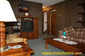 24 2nd St, Plainwell, MI 49080 photo 20