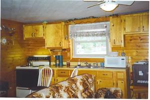 9408 Humphrey, Reading, MI 49274 photo 15