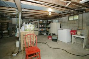 60561 Bert Rd, Colon, MI 49040 photo 20