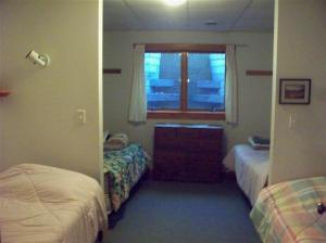 7981 Peckins, Lyons, MI 48851 photo 21