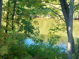 7981 Peckins, Lyons, MI 48851 photo 13