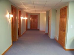 7981 Peckins, Lyons, MI 48851 photo 19