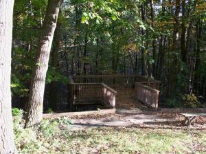 7981 Peckins, Lyons, MI 48851 photo 24