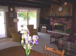1309 S Derby Rd, Stanton, MI 48888 photo 8