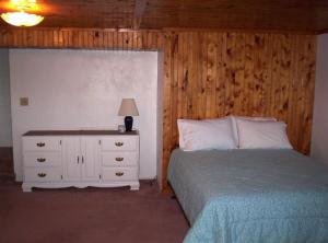 1309 S Derby Rd, Stanton, MI 48888 photo 14