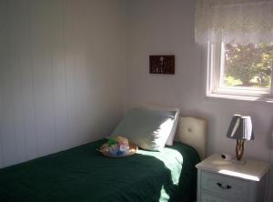 1309 S Derby Rd, Stanton, MI 48888 photo 12