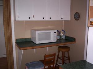 1309 S Derby Rd, Stanton, MI 48888 photo 4