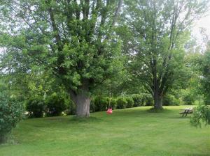 3072 E Johnson Rd, Custer, MI 49405 photo 3