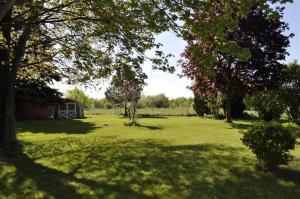 9263 Belding Rd, Belding, MI 48809 photo 17