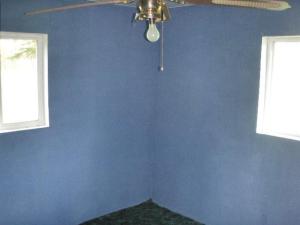 2134 Lakeside Dr, Stanton, MI 48888 photo 5