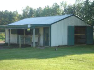 6218 E Rs Ave, Scotts, MI 49088 photo 11