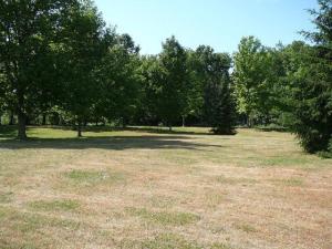 982 Weaver Rd, Bronson, MI 49028 photo 14