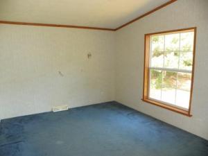 13058 Riverside Dr, Constantine, MI 49042 photo 6
