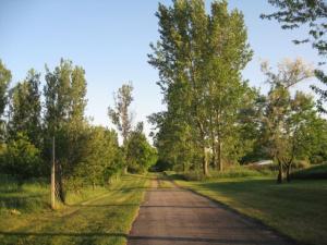1915 138th Ave, Dorr, MI 49323 photo 18