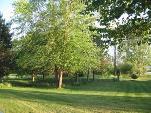 1915 138th Ave, Dorr, MI 49323 photo 19