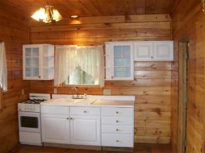 13675 Brewer Rd, Brethren, MI 49619 photo 4