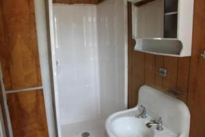 108 E Walnut St, Stanton, MI 48888 photo 17