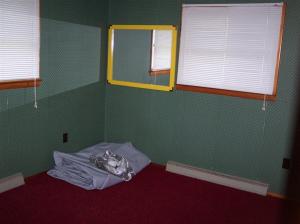 9338 Lake Ave, Reading, MI 49274 photo 18