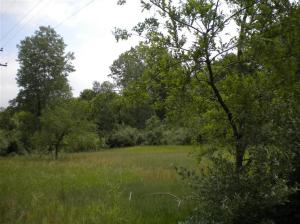 9792 E R Ave, Scotts, MI 49088 photo 5