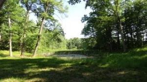 7762 E 52nd St, Newaygo, MI 49337 photo 9