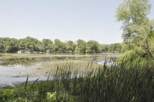66989 Winding River Rd, Constantine, MI 49042 photo 4