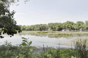 66989 Winding River Rd, Constantine, MI 49042 photo 3