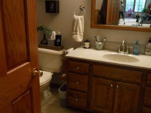11027 W Bricker Rd, Belding, MI 48809 photo 21