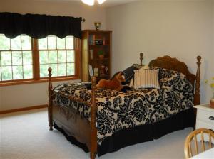 11027 W Bricker Rd, Belding, MI 48809 photo 16