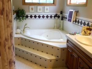 11027 W Bricker Rd, Belding, MI 48809 photo 11