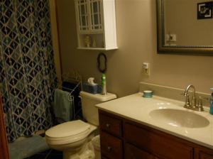 11027 W Bricker Rd, Belding, MI 48809 photo 17