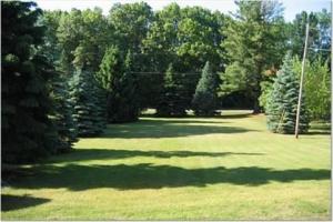 2597 W Bricker, Fenwick, MI 48834 photo 4