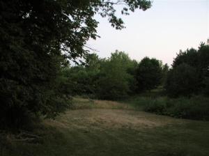 1508 144th Ave, Dorr, MI 49323 photo 21