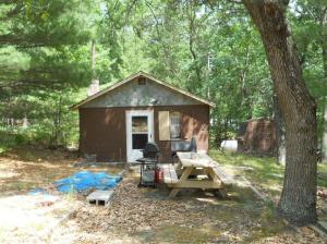 9122 S Lost Pine Ave, Baldwin, MI 49304 photo 1