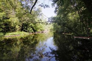 55159 W End, Three Rivers, MI 49093 photo 4