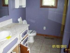 745 E Pakes Rd, Stanton, MI 48888 photo 9