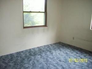 745 E Pakes Rd, Stanton, MI 48888 photo 8
