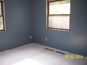745 E Pakes Rd, Stanton, MI 48888 photo 7
