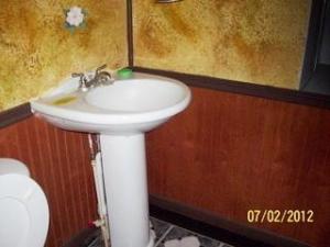 745 E Pakes Rd, Stanton, MI 48888 photo 11