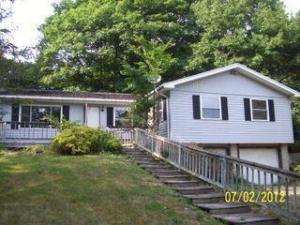 745 E Pakes Rd, Stanton, MI 48888 photo 1