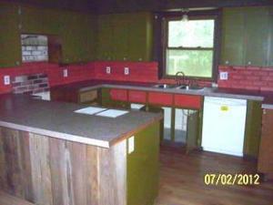 745 E Pakes Rd, Stanton, MI 48888 photo 6