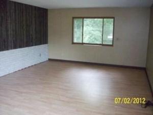 745 E Pakes Rd, Stanton, MI 48888 photo 4