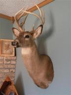 3451 Lyons, Lyons, MI 48851 photo 9