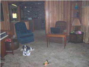 5536 30th Ave, Sears, MI 49679 photo 5