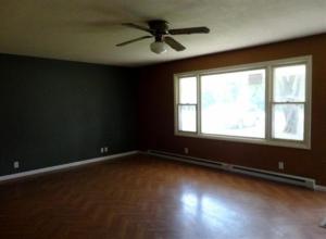 4607 E Riv, Buchanan, MI 49107 photo 2