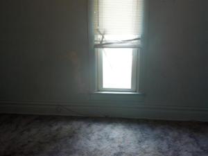 247 Warren St, Freeport, MI 49325 photo 7